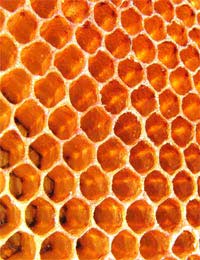 Honey Sugar Free Flapjacks Ingredients